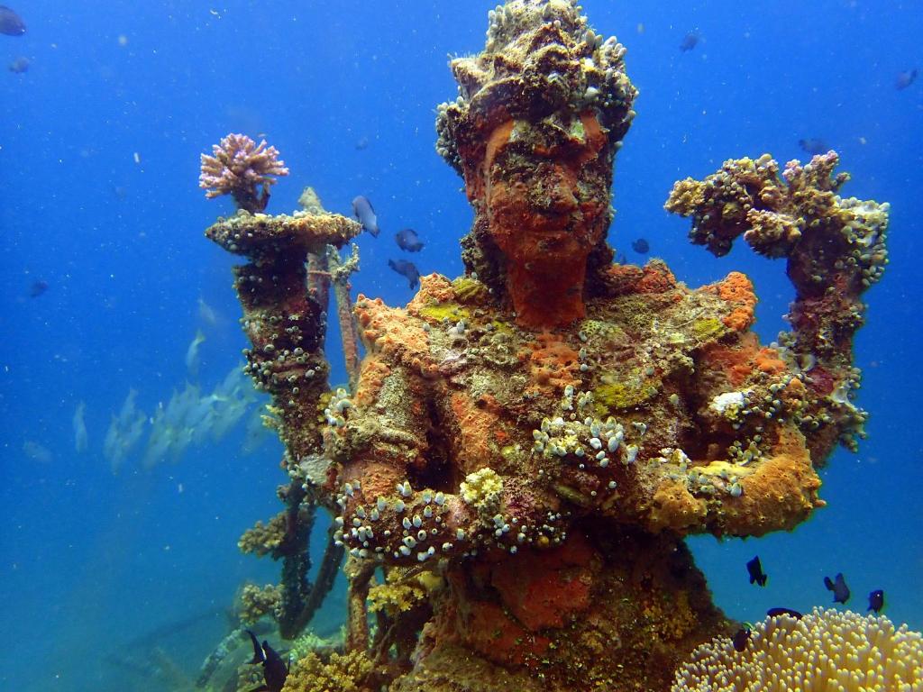 Biorock Pemuteran Diving