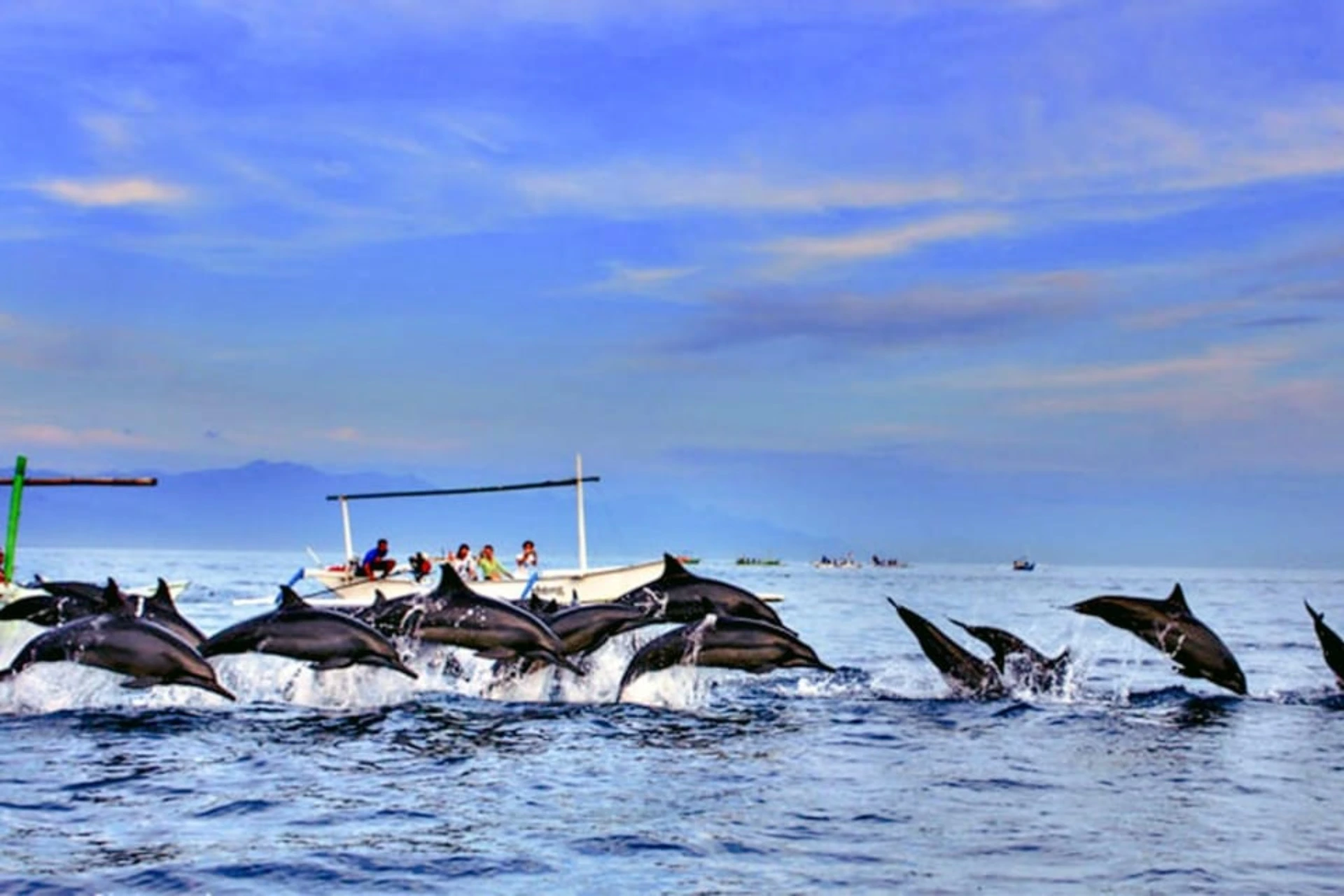 Lovina Dolphin Tour
