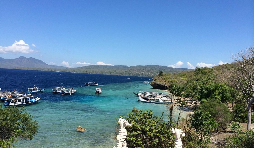 Pemuteran Fishing Experience